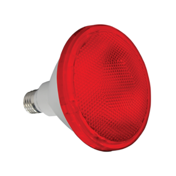 Picture of LED Par 38 Lamps 15W