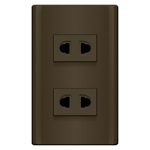 2 Gang Outlet