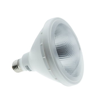 Omni LED Par Weatherproof Par Lamp 