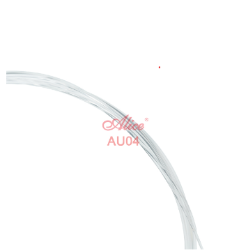 AU04  AU04
