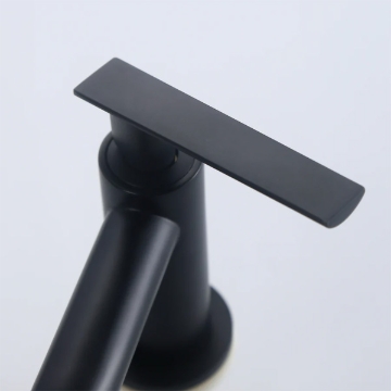 Picture of Axis Danube Basin Tap Matte Black , AXS01FD250B