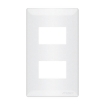 Picture of 2 Gang Plate, RSP2
