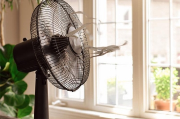 Show products in category Fan Picture for category Fan